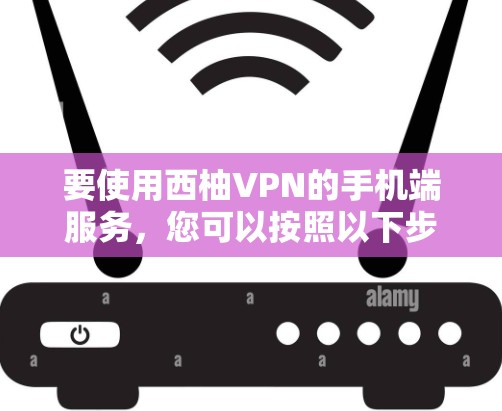 要使用西柚VPN的手机端服务，您可以按照以下步骤操作