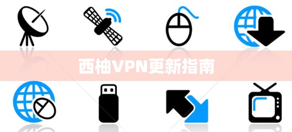 西柚VPN更新指南 西柚VPN更新指南