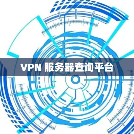 VPN 服务器查询平台