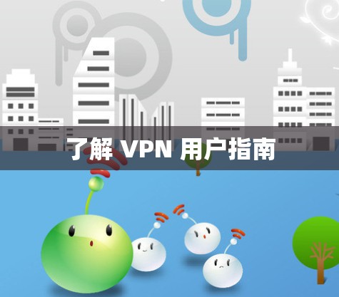 了解 VPN 用户指南