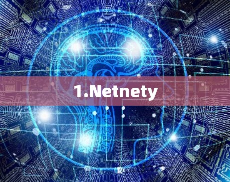 1.Netnety