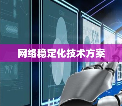 网络稳定化技术方案