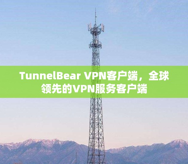 TunnelBear VPN客户端，全球领先的VPN服务客户端