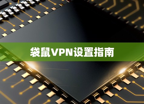 袋鼠VPN设置指南