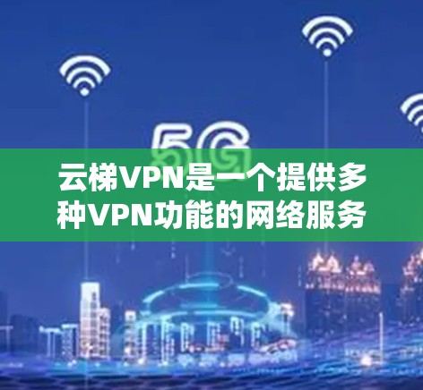 云梯VPN是一个提供多种VPN功能的网络服务，用户可以通过微信或支付宝购买。以下是其主要功能的详细分析