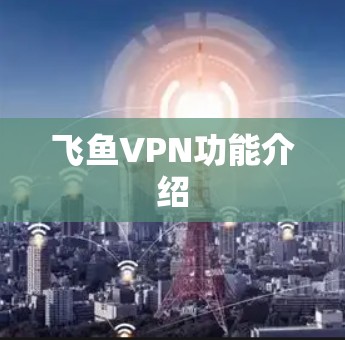 飞鱼VPN功能介绍