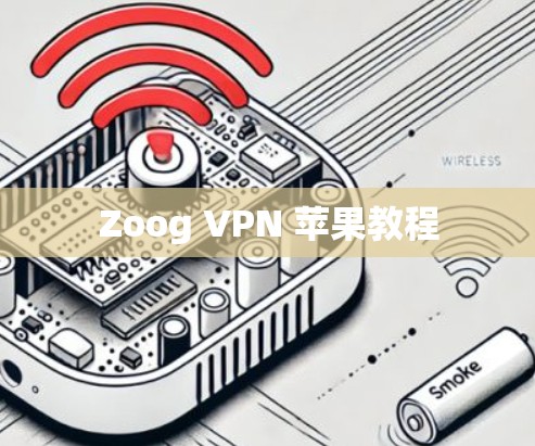 Zoog VPN 苹果教程