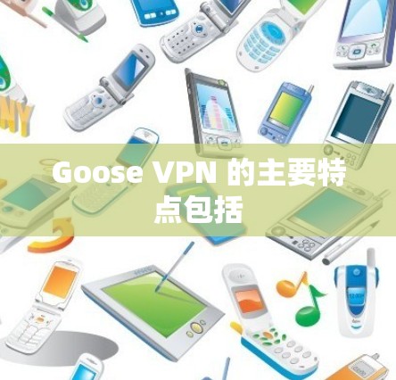 Goose VPN 的主要特点包括