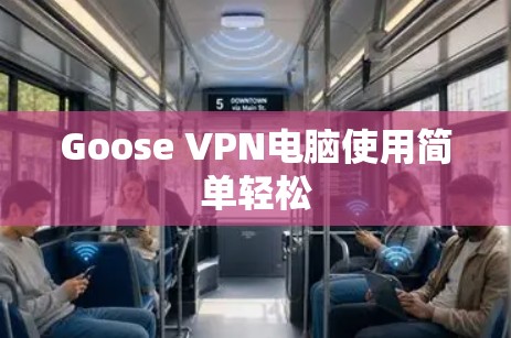 Goose VPN电脑使用简单轻松