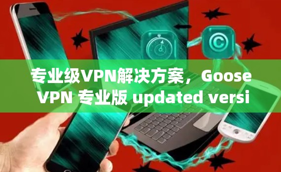 专业级VPN解决方案,Goose VPN 专业版 updated version now available