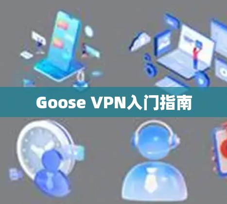 Goose VPN入门指南