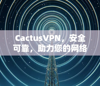 CactusVPN，安全可靠，助力您的网络连接