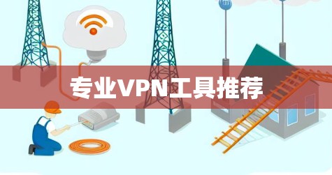专业VPN工具推荐