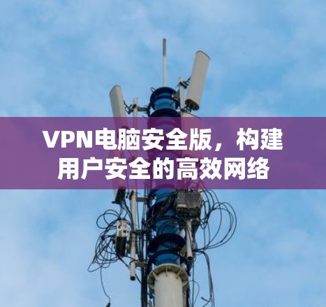 VPN电脑安全版，构建用户安全的高效网络