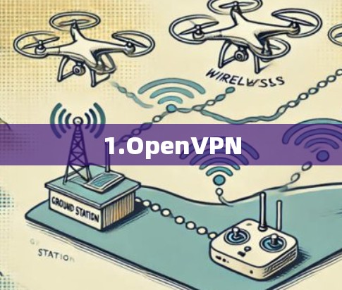 1.OpenVPN