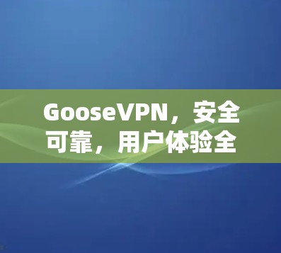 GooseVPN,安全可靠,用户体验全体验