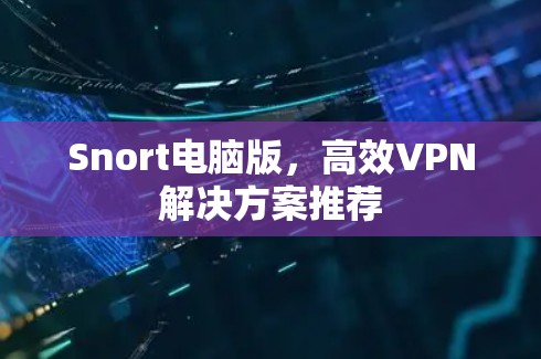 Snort电脑版,高效VPN解决方案推荐