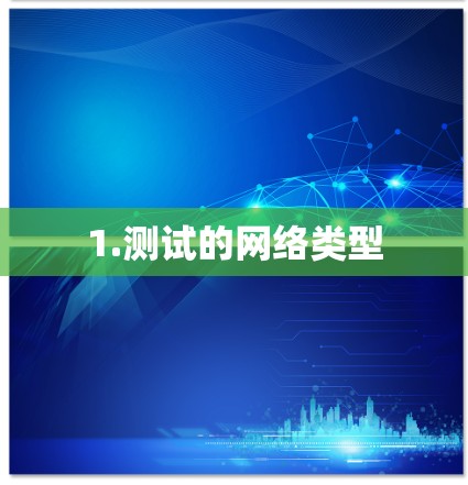 1.测试的网络类型