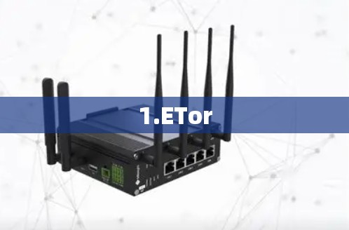 1.ETor