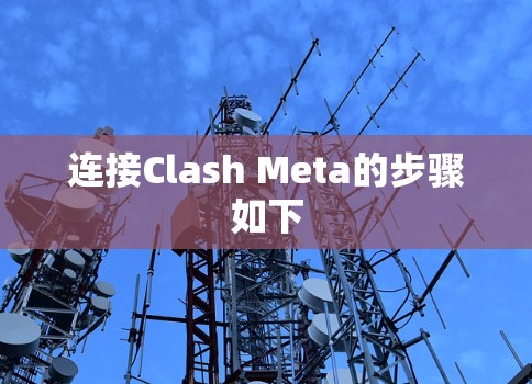 连接Clash Meta的步骤如下 连接Clash Meta的步骤如下