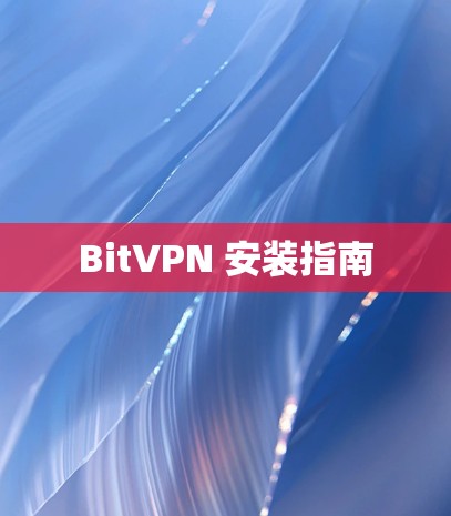 BitVPN 安装指南