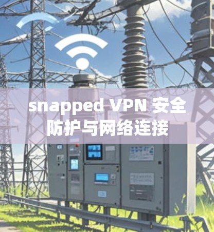 snapped VPN 安全防护与网络连接