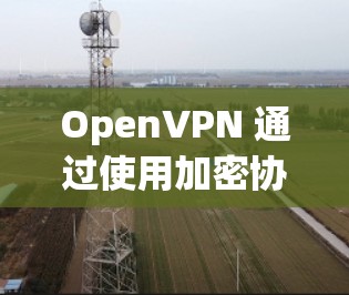 OpenVPN 通过使用加密协议（如 PPTP、TVP-se 等）来加密数据，确保在数据传输过程中不被截获或窃取。以下是一些可能遇到的问题和解决方法