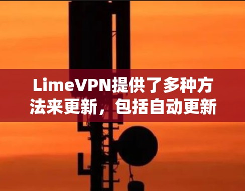 LimeVPN提供了多种方法来更新，包括自动更新、手动更新和系统重装。以下是对这些更新机制的详细说明