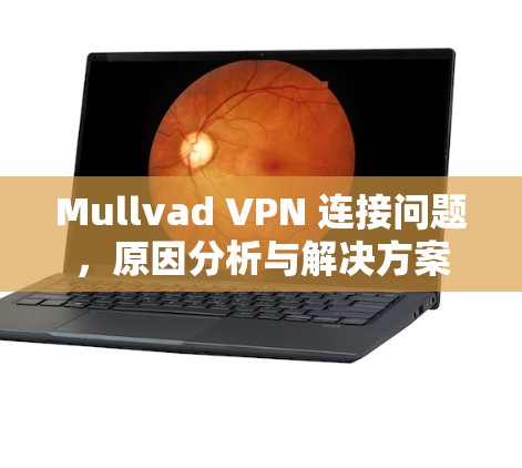 Mullvad VPN 连接问题，原因分析与解决方案