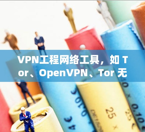 VPN工程网络工具，如 Tor、OpenVPN、Tor 无限流和VPN无限流 Plus，各有其独特的优点和适用场景。以下是对这些工具的详细分析和总结