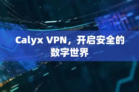 Calyx VPN,开启安全的数字世界