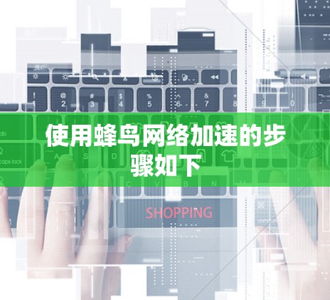 使用蜂鸟网络加速的步骤如下