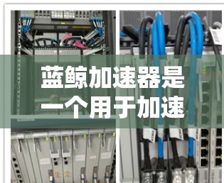蓝鲸加速器是一个用于加速电脑的软件，帮助用户提升电脑性能和清理文件。以下是使用蓝鲸加速器的步骤