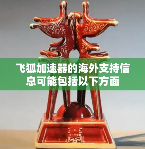 飞狐加速器的海外支持信息可能包括以下方面
