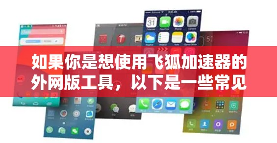 如果你是想使用飞狐加速器的外网版工具,以下是一些常见的功能和使用方法,供你参考