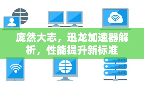 庞然大志,迅龙加速器解析,性能提升新标准