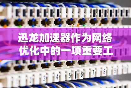 迅龙加速器作为网络优化中的一项重要工具,通过提供多种技术手段提升网络性能。以下是对迅龙加速器网络优化的详细总结和解释