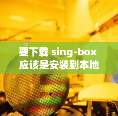要下载 sing-box 应该是安装到本地的。具体步骤如下