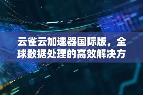 云雀云加速器国际版,全球数据处理的高效解决方案