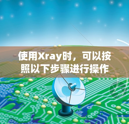 使用Xray时,可以按照以下步骤进行操作