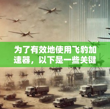 为了有效地使用飞豹加速器,以下是一些关键步骤和信息的总结