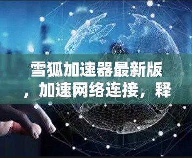 雪狐加速器最新版,加速网络连接,释放强大数据流量