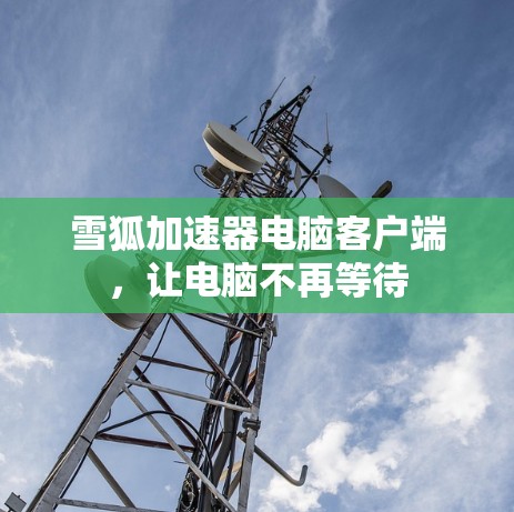 雪狐加速器电脑客户端,让电脑不再等待