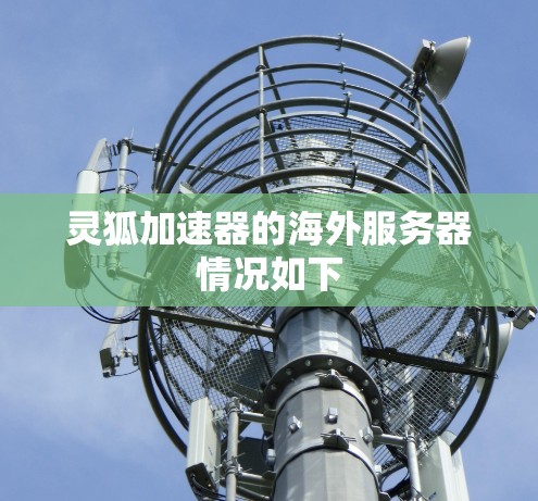 灵狐加速器的海外服务器情况如下