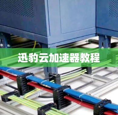 迅豹云加速器教程