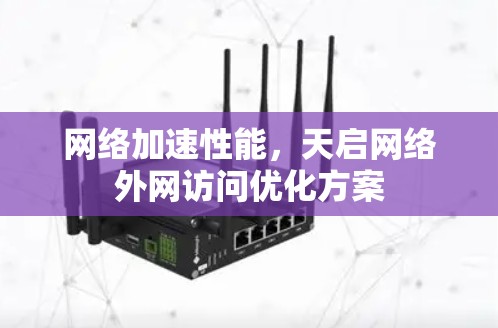 网络加速性能,天启网络外网访问优化方案