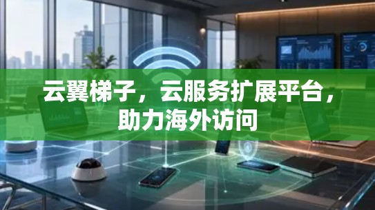 云翼梯子,云服务扩展平台,助力海外访问
