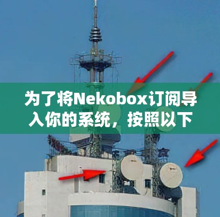 为了将Nekobox订阅导入你的系统，按照以下步骤操作