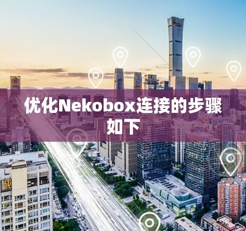优化Nekobox连接的步骤如下