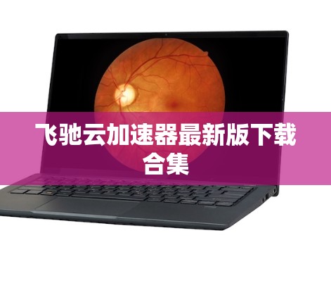飞驰云加速器最新版下载合集